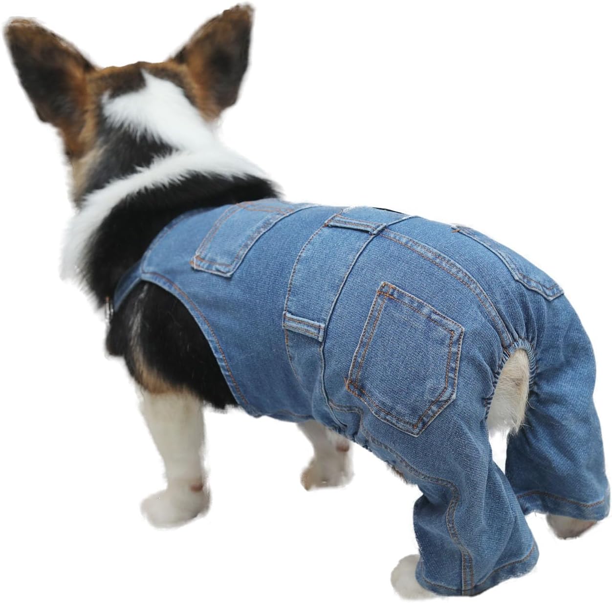 Doggy Overalls