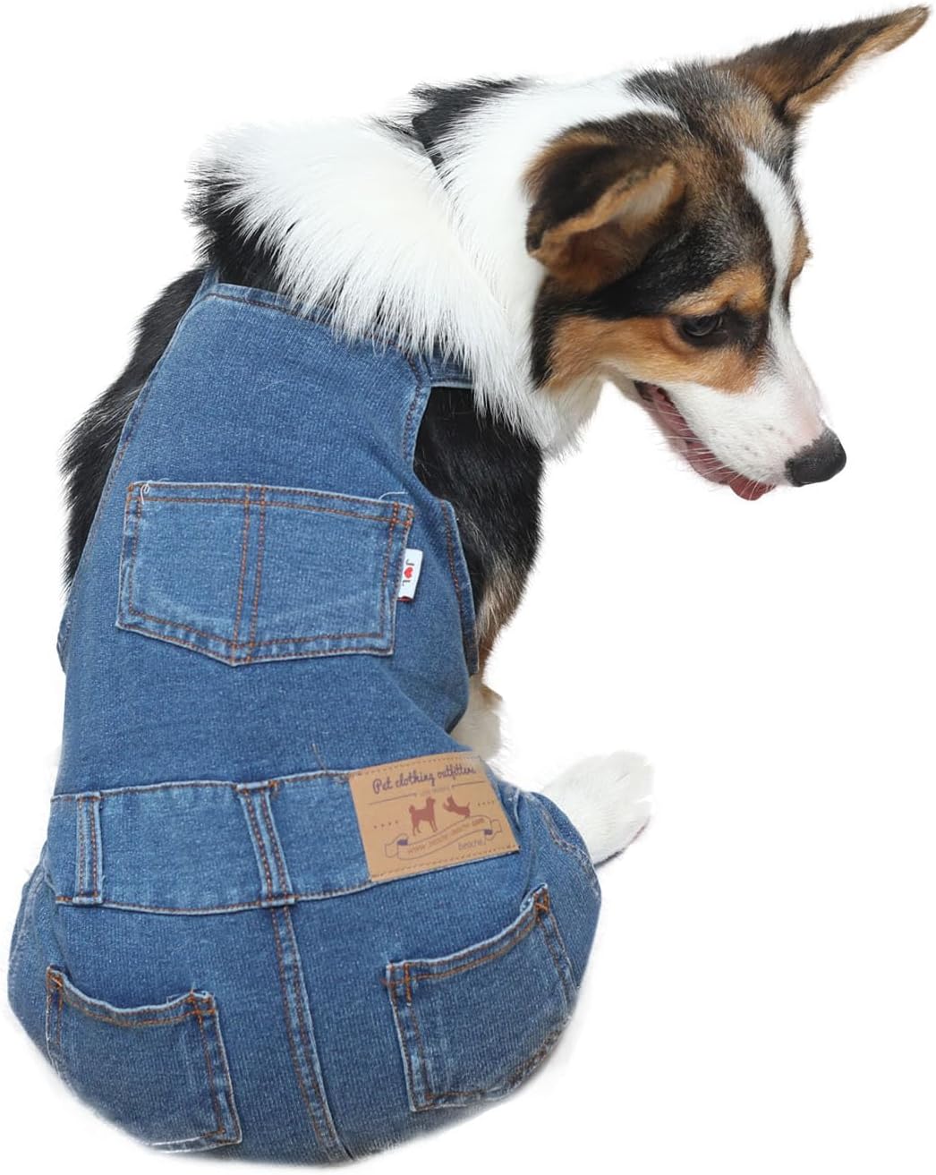 Doggy Overalls